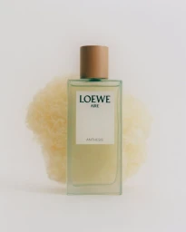 Loewe Perfume