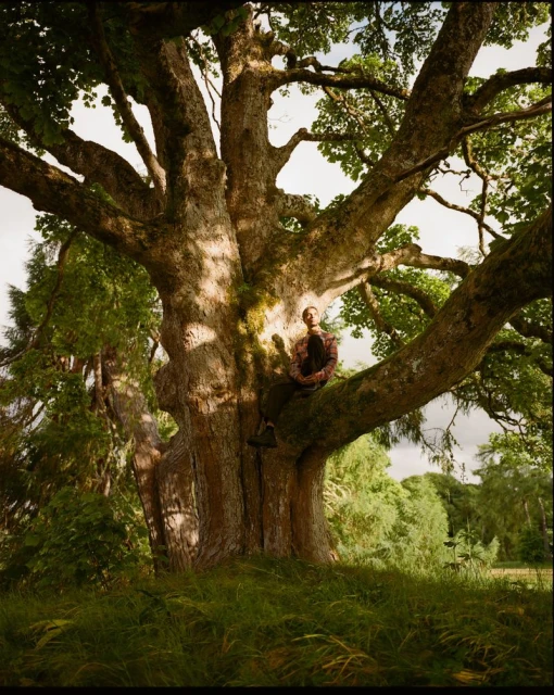 Dossier #3 2025 Cover