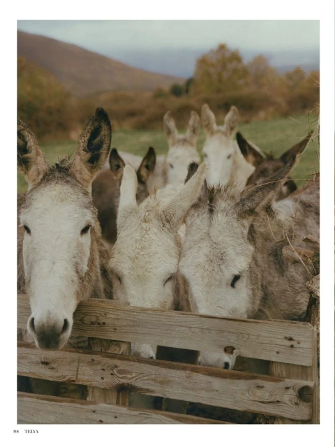 Donde desearías estar