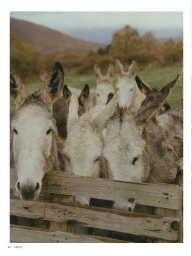 Donde desearías estar