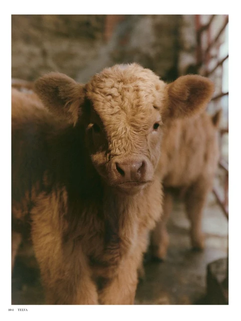 Donde desearías estar