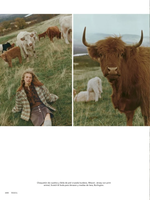 Donde desearías estar