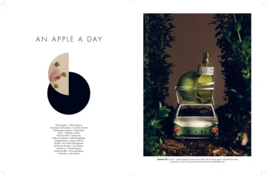 An Apple A Day for Rakes Sense - Issue 6