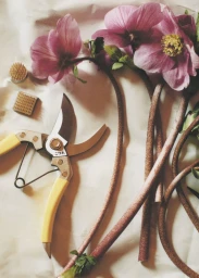 OUTLINE Spring Catalog 2025