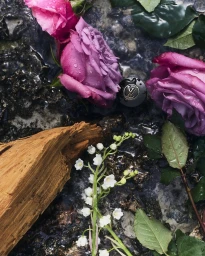 Louis Vuitton Perfumes 2025 Campaign