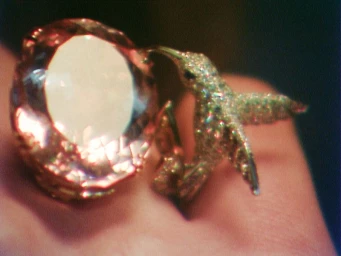 Photography by Julian Klincewicz