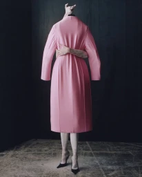 White Whales Are Gone With The White Ocean