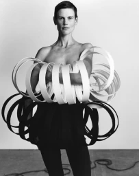 White Whales Are Gone With The White Ocean