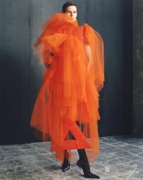 White Whales Are Gone With The White Ocean