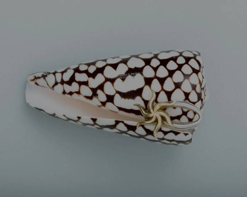 Still Life Jewelry for Imminent Fantasma