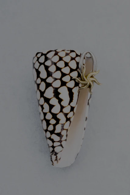 Still Life Jewelry for Imminent Fantasma