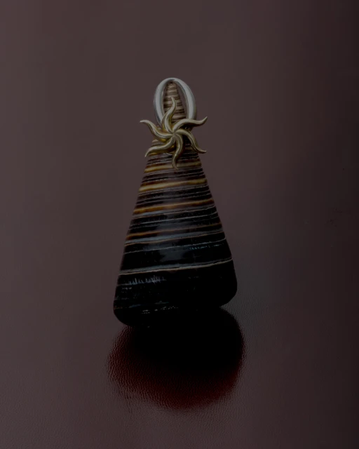 Still Life Jewelry for Imminent Fantasma