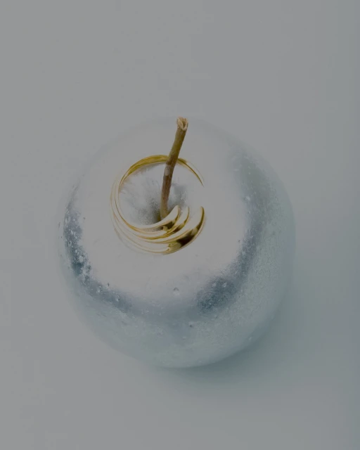 Still Life Jewelry for Imminent Fantasma