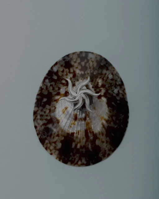 Still Life Jewelry for Imminent Fantasma