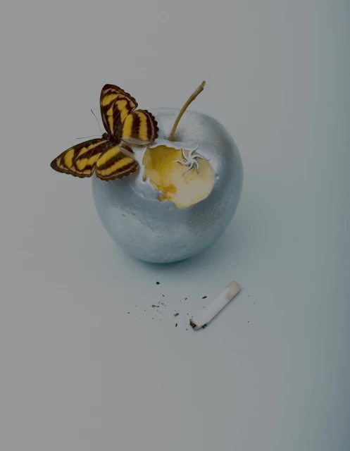 Still Life Jewelry for Imminent Fantasma