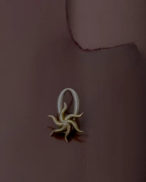 Still Life Jewelry for Imminent Fantasma