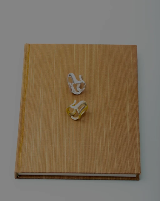 Still Life Jewelry for Imminent Fantasma