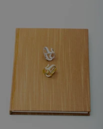 Still Life Jewelry for Imminent Fantasma