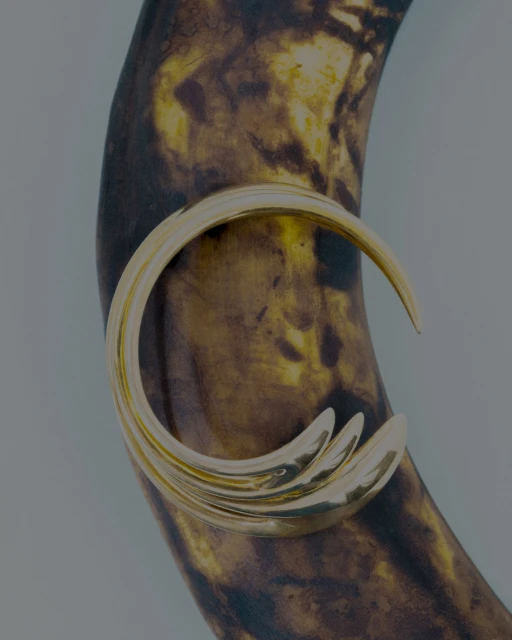 Still Life Jewelry for Imminent Fantasma