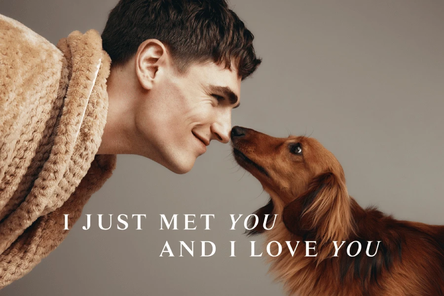 I Just Met You & I Love You