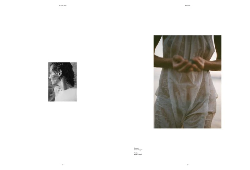 Beach Finds — Sticks and stones