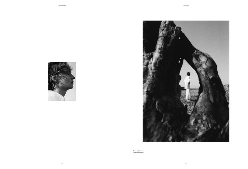 Beach Finds — Sticks and stones