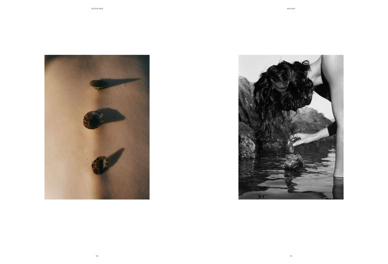 Beach Finds — Sticks and stones