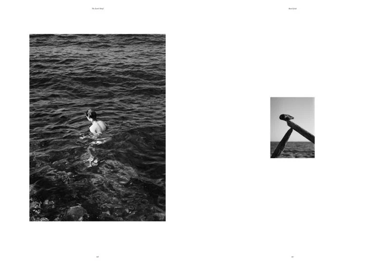 Beach Finds — Sticks and stones