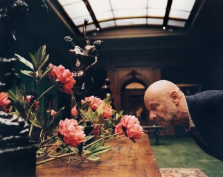 The $500,000 Flowers That Are Quickly Selling Out