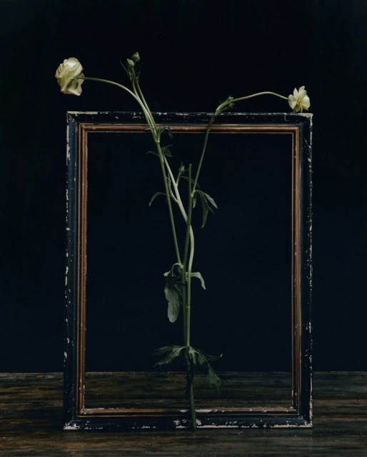 Erdem Resort 2026 Lookbook