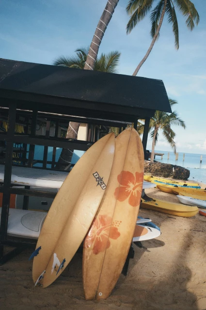 Summer 25 NH Campaign