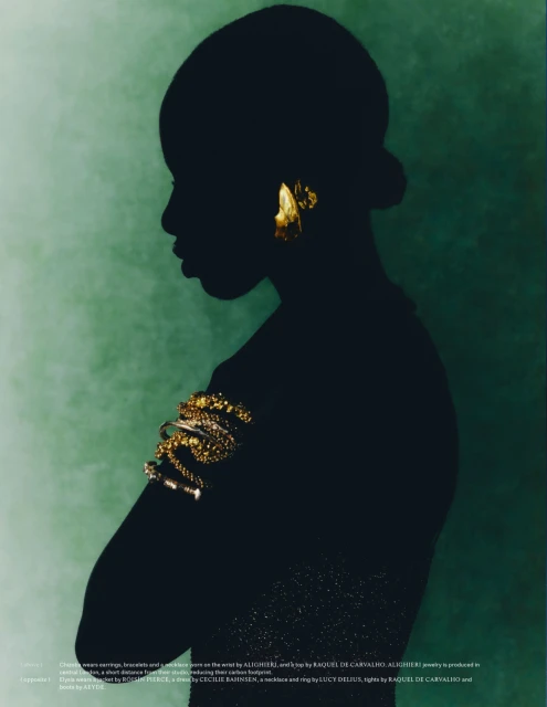 It Shouldn't Cost the Earth