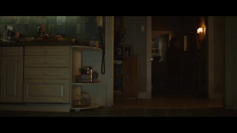 Fridge - Superbowl LX