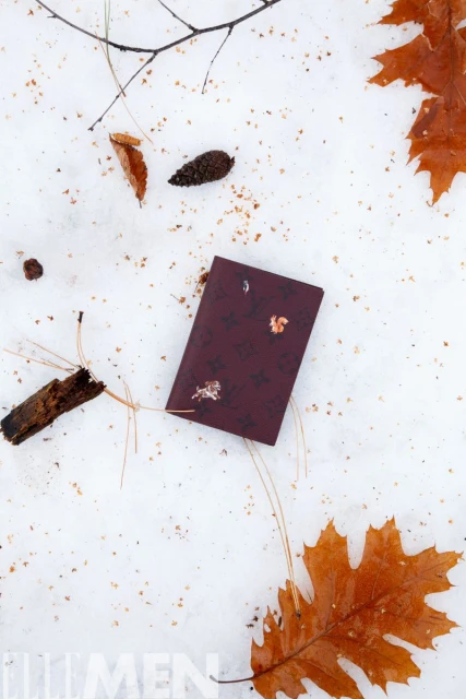 Traces of red in snowland