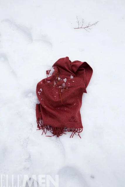 Traces of red in snowland