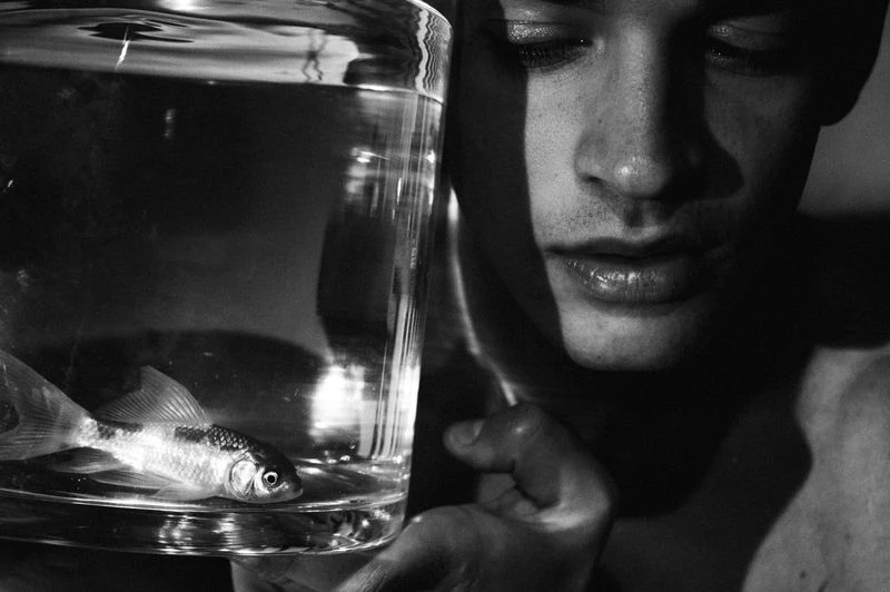 All The Things They Said