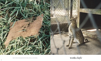 Julianknxx in conversation with Bafic