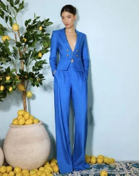 Alice and olivia summer 2025