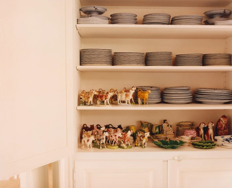 Spring 2026 Ad Campaign