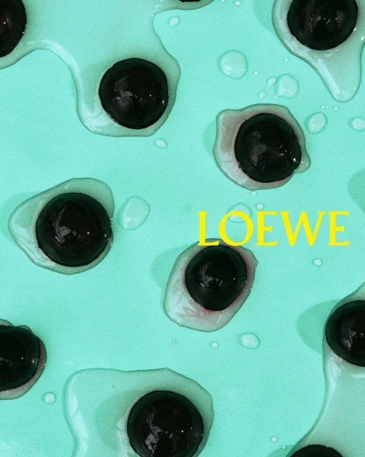 Loewe S/S 2026 Campaign