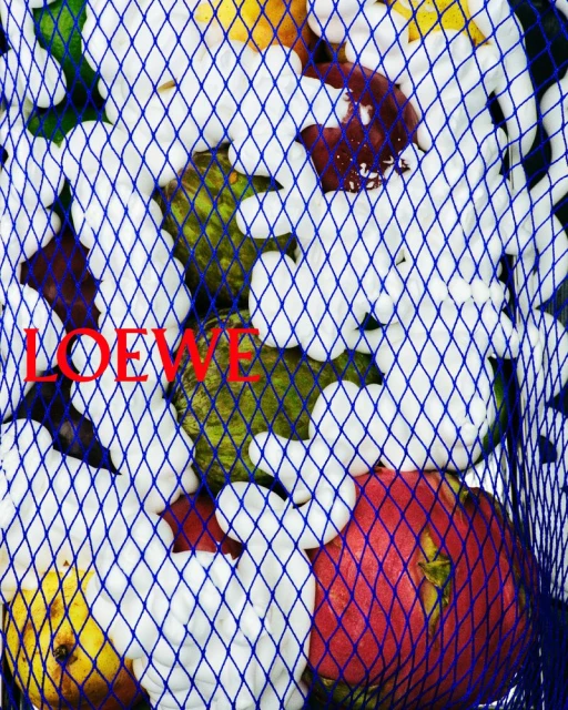 Loewe S/S 2026 Campaign