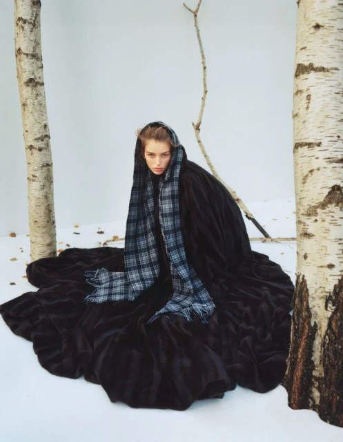 Le goût du M L'allure et les forêts