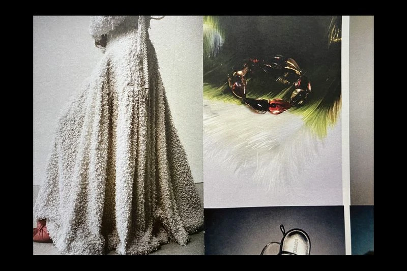 Bottega Veneta S/S 26 Fanzine