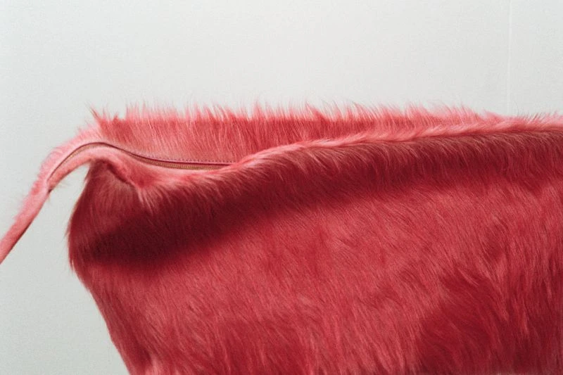 Bottega Veneta SS26 documented by Ni ...