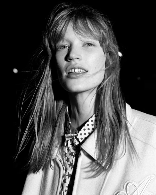 Foxhound (a Mix of Two Halves)