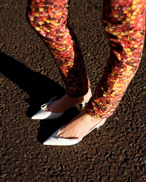 Foxhound (a Mix of Two Halves)