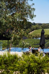 Doot Doot Doot & Flaggerdoot Campaign