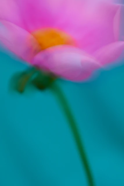 Personal Creative Projects