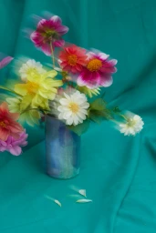 Personal Creative Projects