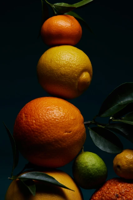 Personal Creative Projects